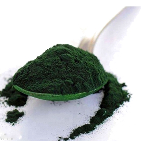 Organic Chlorella